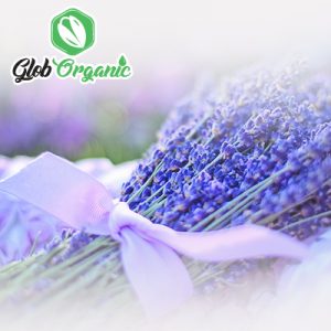 lavender oil